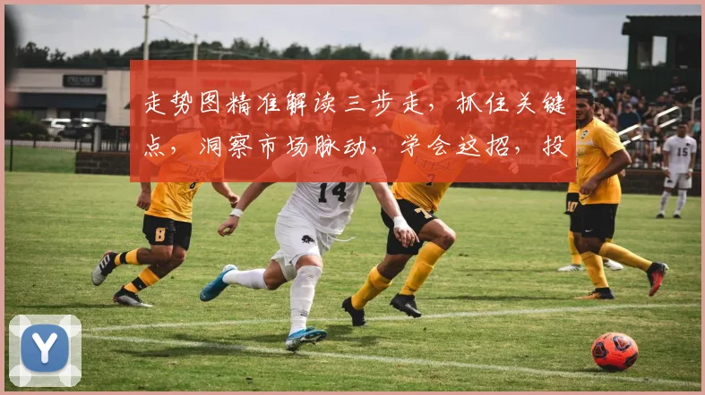 走势图精准解读三步走，抓住关键点，洞察市场脉动，学会这招，投资无忧